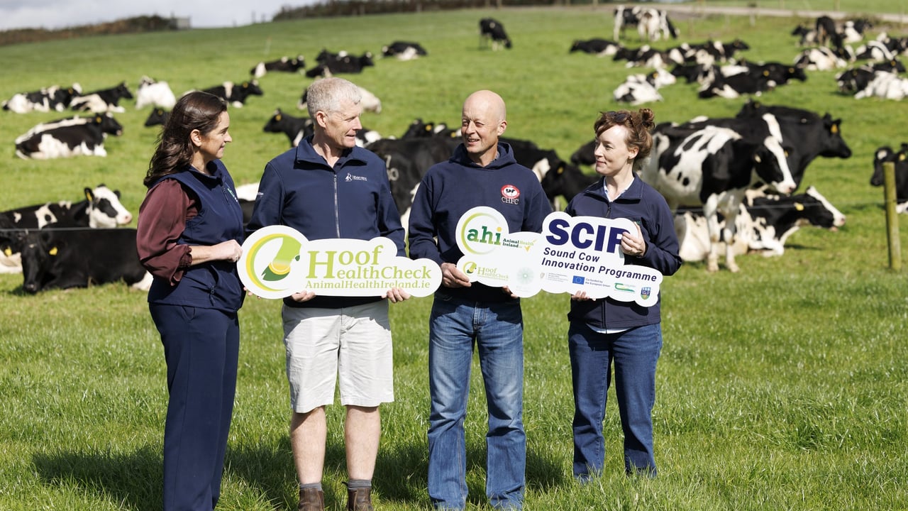 L-r: Dr. Michelle McGrath, Hoof HealthCheck programme manager; Willie Buckley, Riverview Vets; Nigel Bryan, Cork dairy farmer and programme participant; and Dr. Muireann Conneely, dairy welfare senior research officer, Teagasc