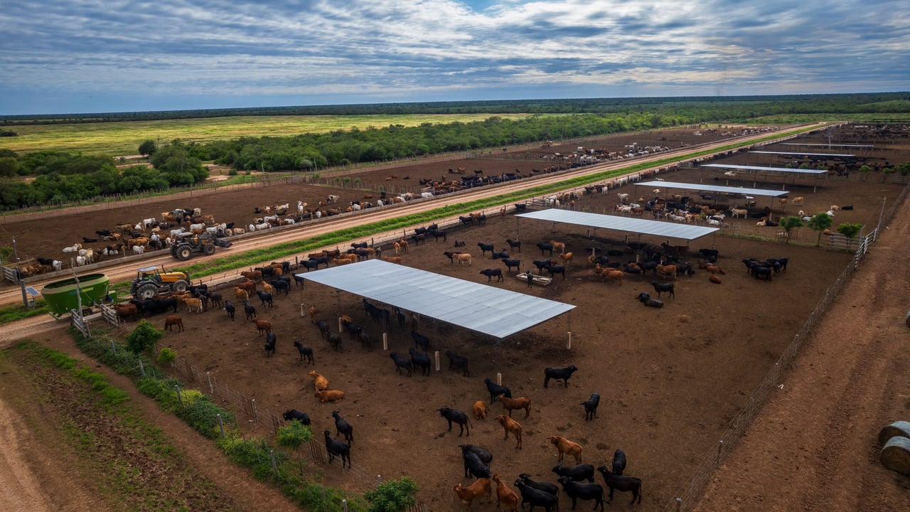 La Huella Farm is situated in the Gran Chaco region of Paraguay, approximately 150km north-west of Loma Plata.