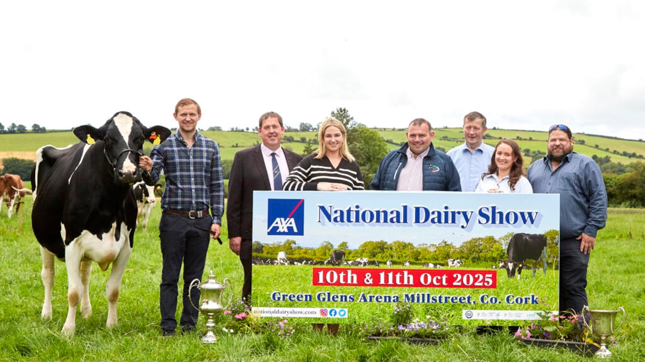 Eedy Doorman Fame AXA National Dairy Show Champion 2024, Jason Helen, Denis Kiely National Dairy Show director, Ciara O'Mahony IHFA, Philip Whitley, Seamus Crowley, Muireann Crowley and Martin Buckley
