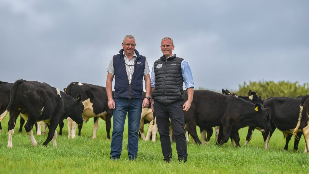 Delivering medal-winning performances from calves in Donegal