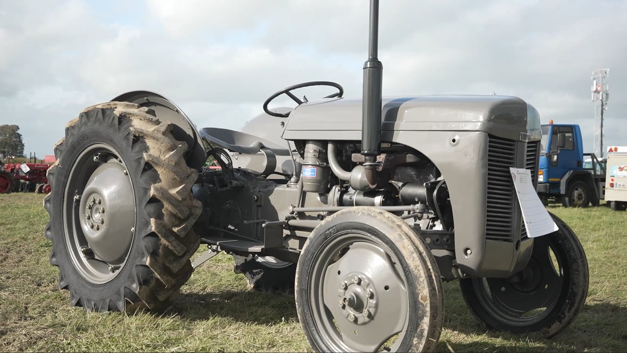 Restored grey Ferguson