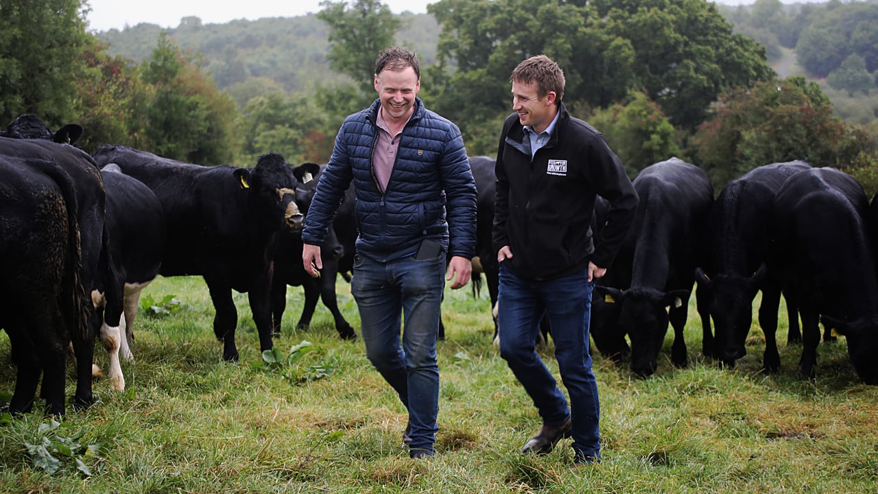 Milk replacer’s quality producing thriving calves for Cavan farmer