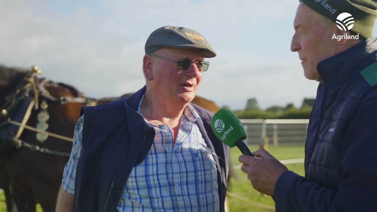 How horse ploughing competitors fared at #Ploughing2025