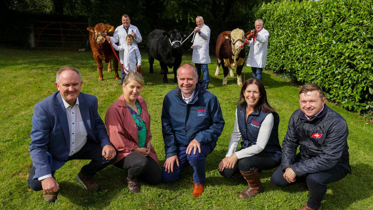 Tesco Ireland to sponsor ABP Bull Improvement Initiative