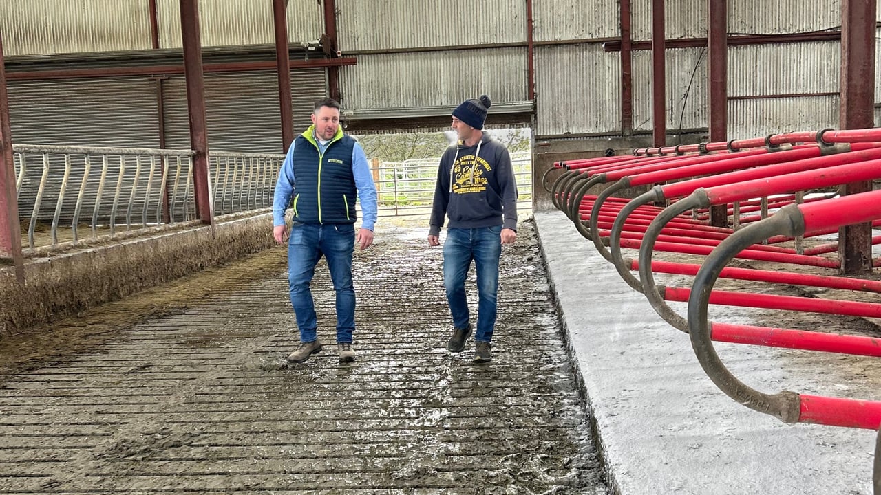 Joey Ryan from Bennettsbridge Limestone and farmer Richard Barron sharing tips for healthier, happier cows. Source: Bennettsbridge Limestone