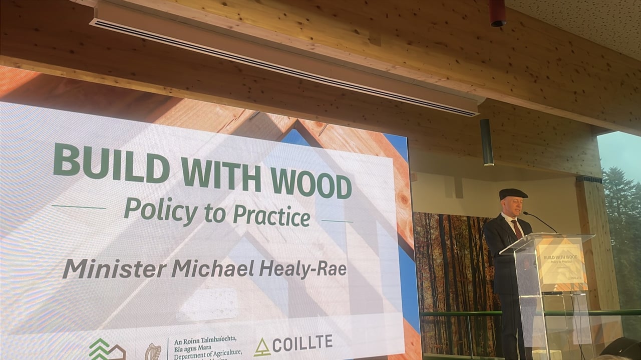 'We need more land available for planting trees' - Minister Healy-Rae