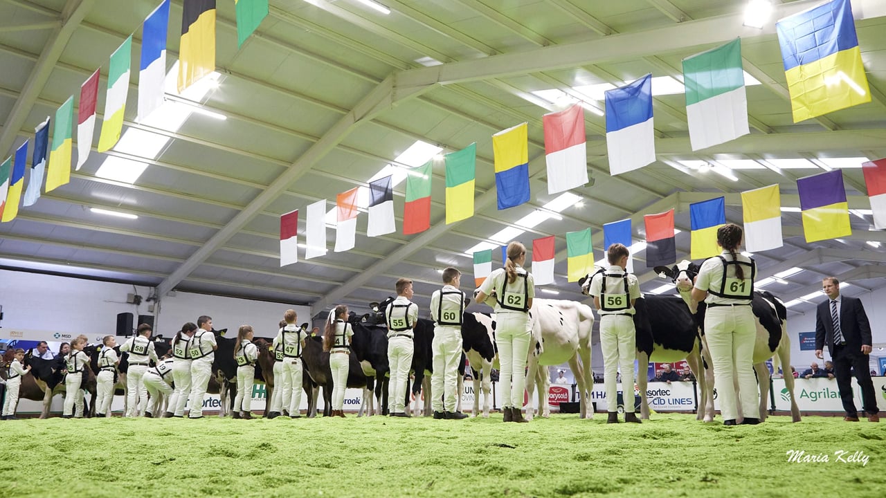 AXA National Dairy Show: Results from day one