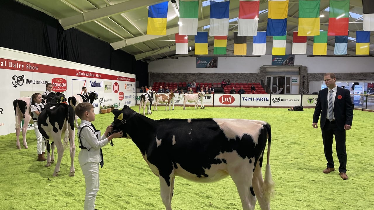 Watch: AXA National Dairy Show day two kicks off