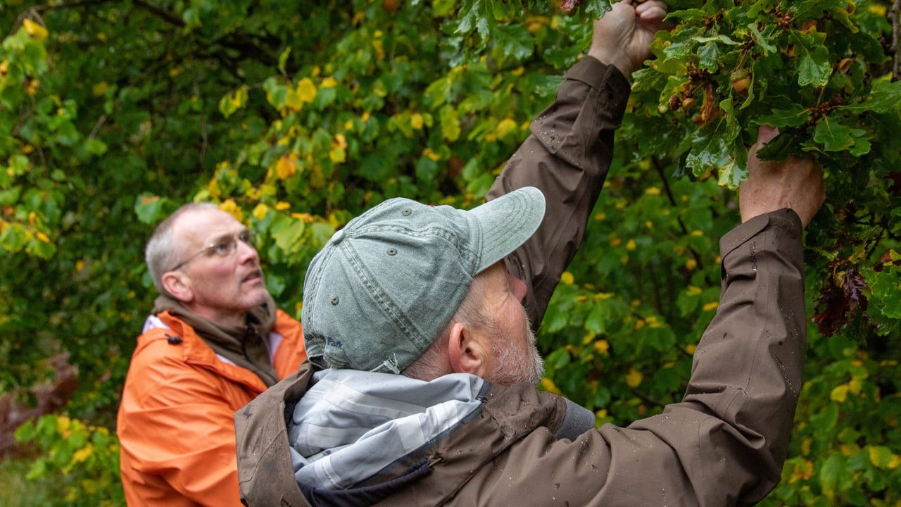Source: Forestry and Land Scotland