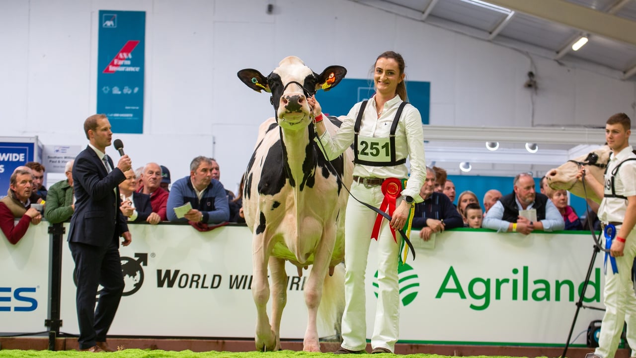 From parlour to podium: The best of the AXA National Dairy Show