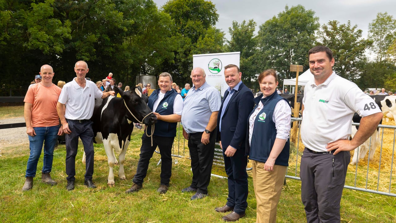 (L-R): Gearoid Maher, club treasurer; Richard Mahony, breeder; Patrick Quealy, club chair; Eamonn Coleman, Eurogene; Laurence Feeney, CEO IHFA; Sinead Quealy, club PRO; and Bill O’Keeffe, breeder. Source: IHFA