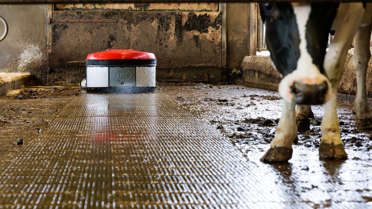 Lely Centre Mitchelstown Platinum Sponsors at AXA National Dairy Show 2025