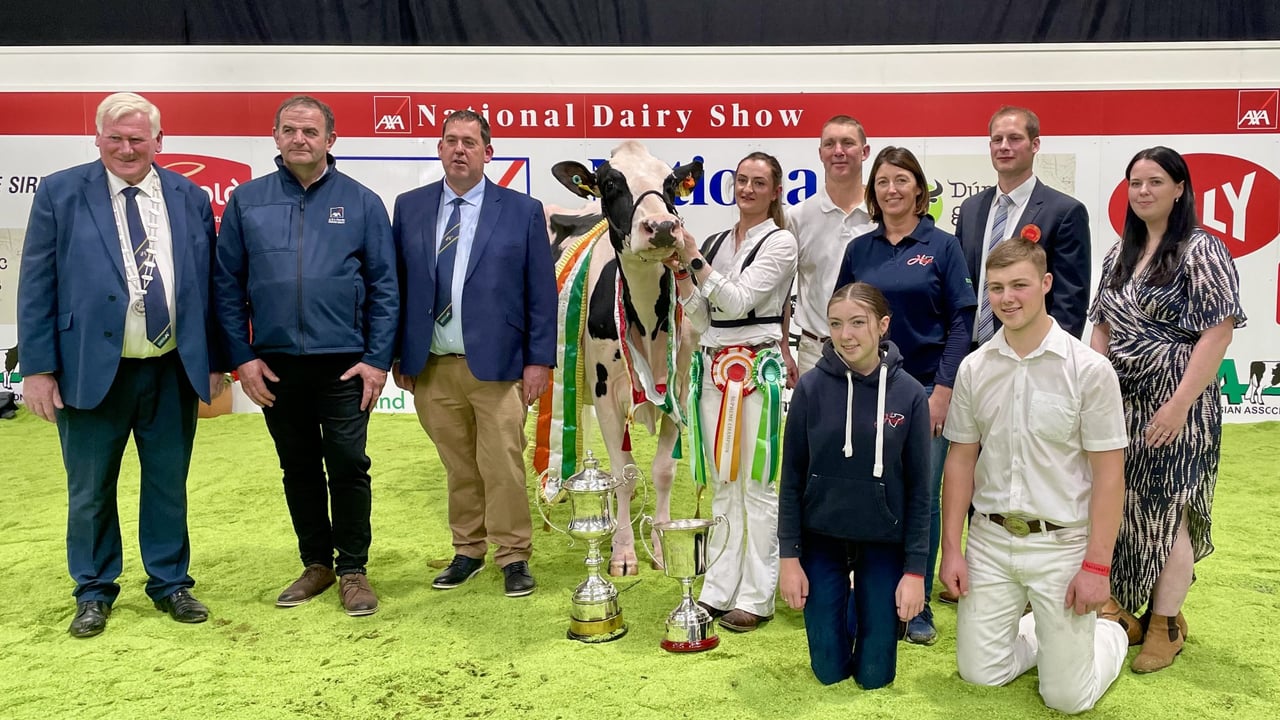 AXA National Dairy Show: Hallow Octain Twizzle is Supreme Champion
