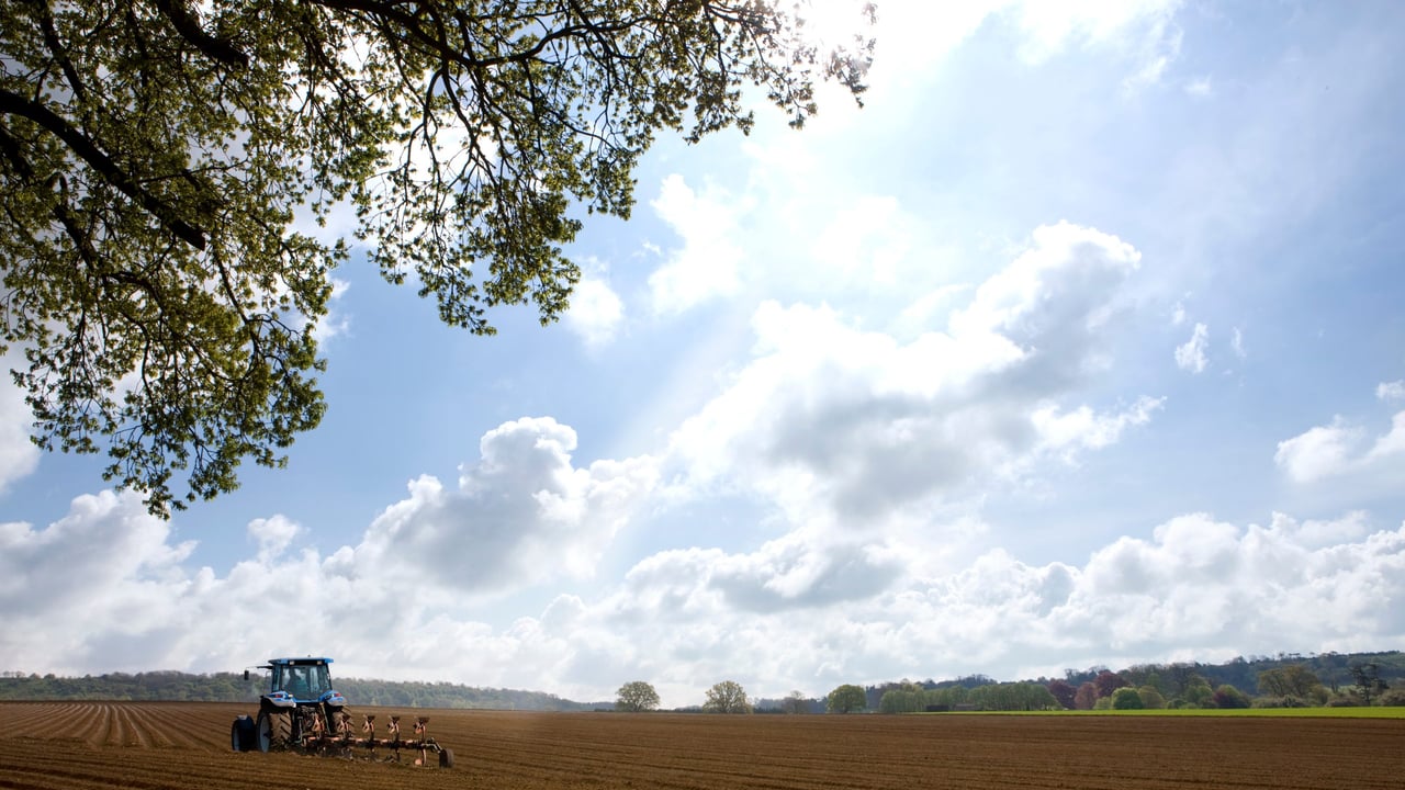 Ireland needs a 'CAP that is more straightforward for farmers' - Healy Rae