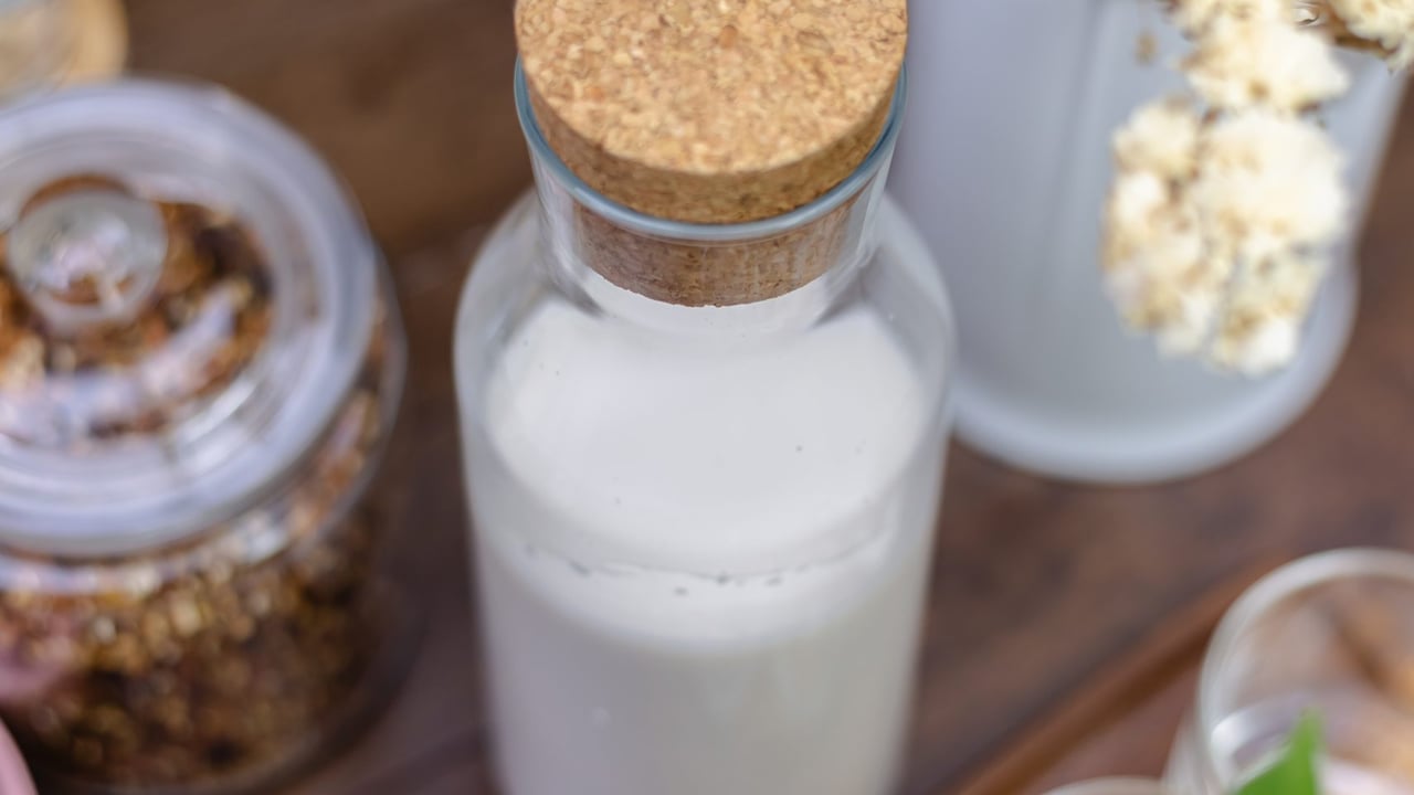 Plant based alternatives to dairy products