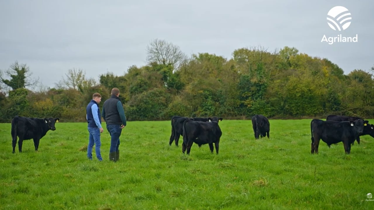Watch: Managing a self-build and buying calves with no up-front payment