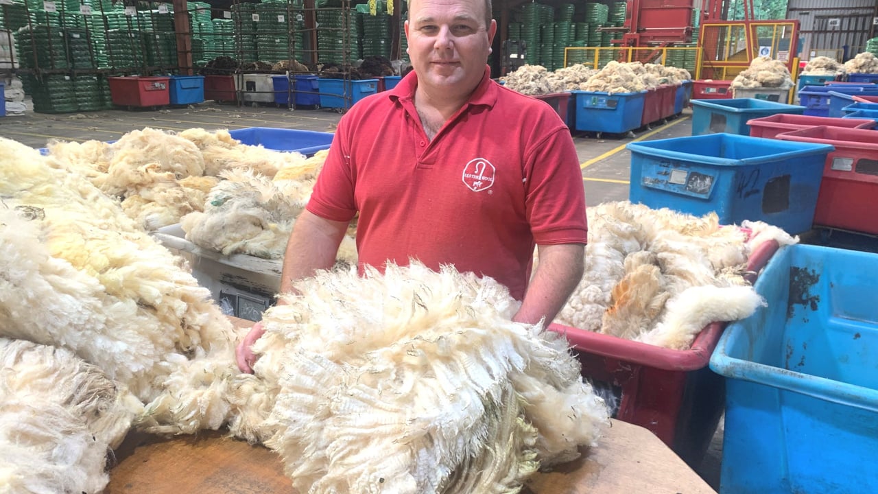 Ulster Wool Group's Stephen Preston grading a wool fleece at the recent open evening event
