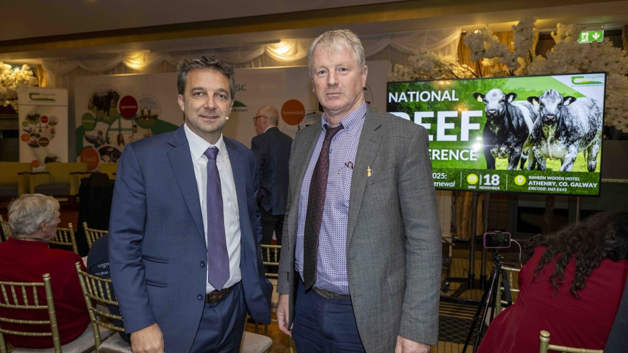 Rupert Claxton, meat and livestock director GIRA and Teagasc regional manager for Clare and Galway Pat Clarke, at the National Beef Conference 2025. Source: Andrew Downes
