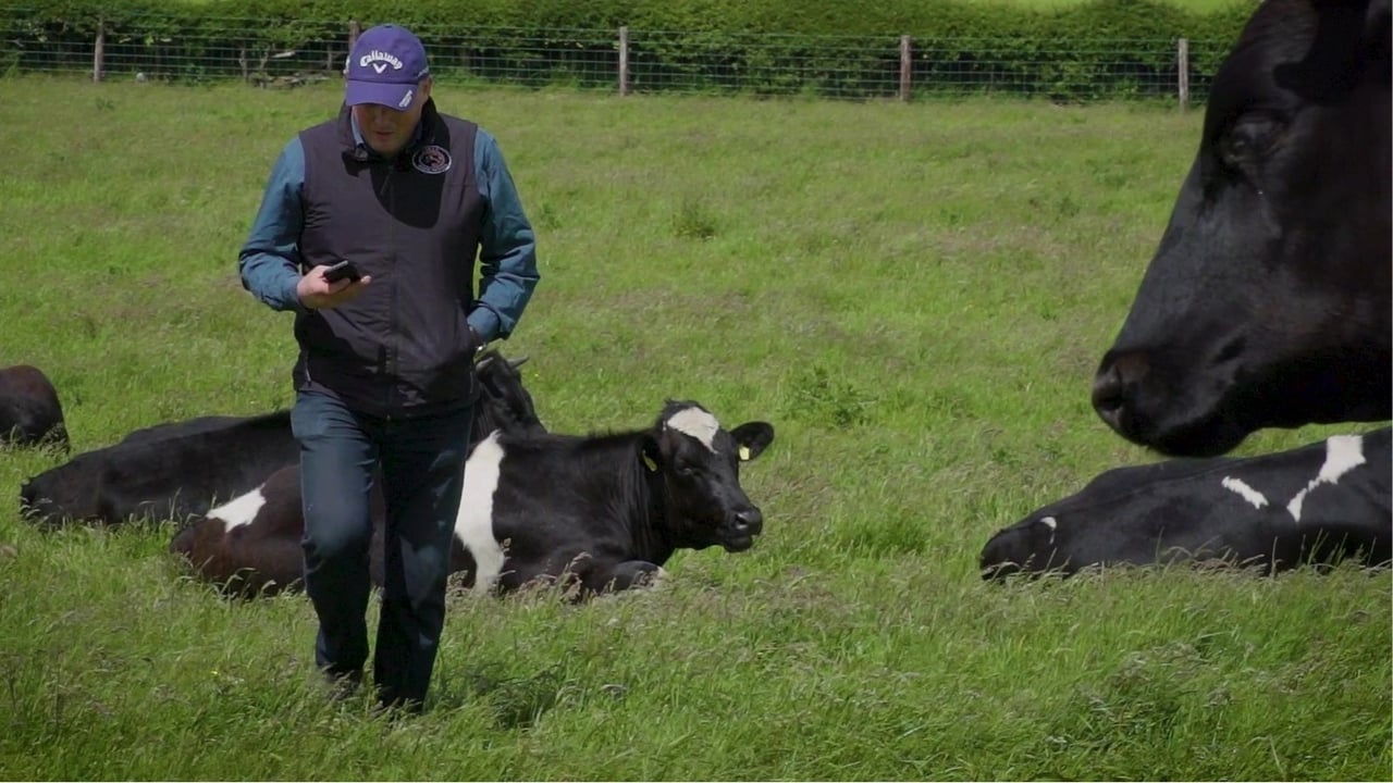 Barney Carroll - in field with cattle. Source: Herdwatch