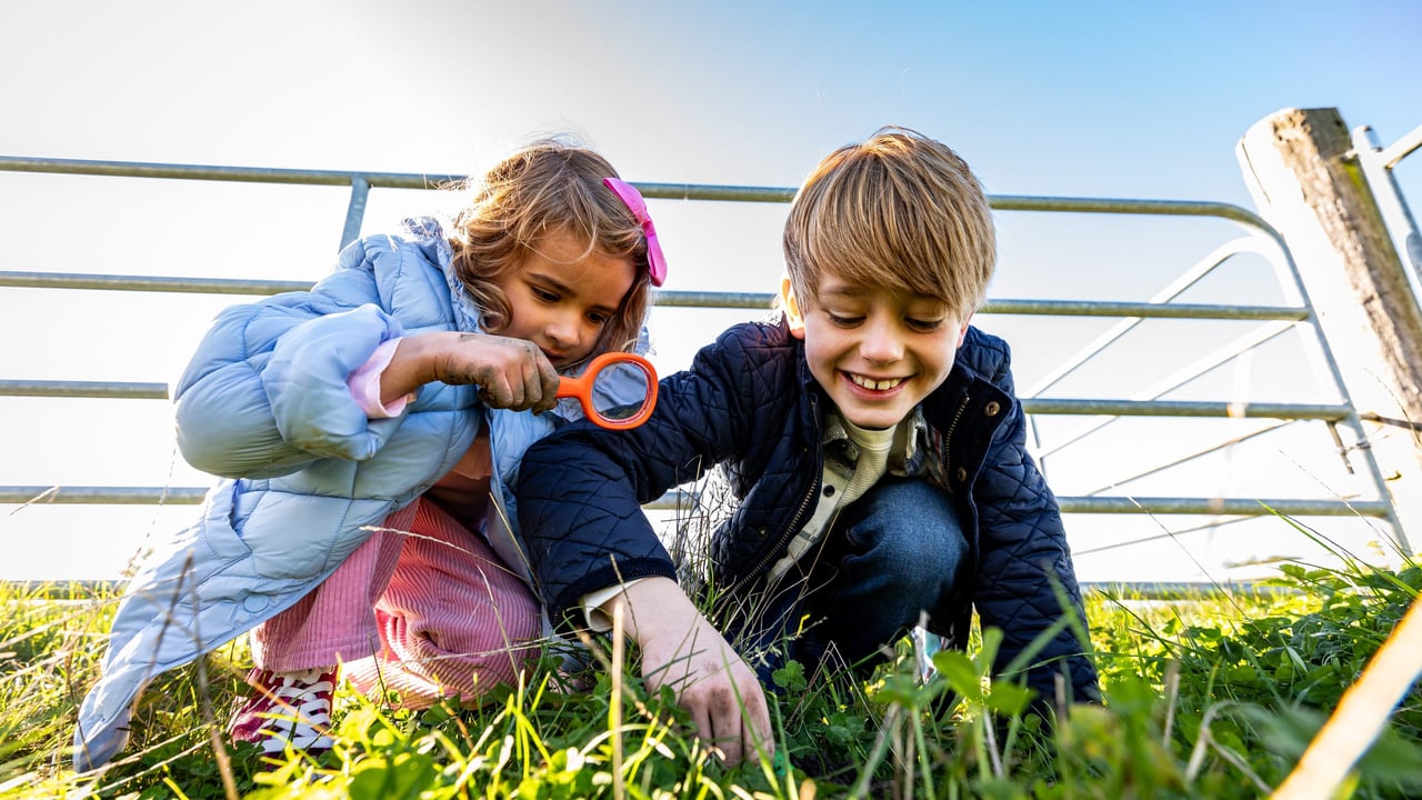 Airfield World of Soil activity