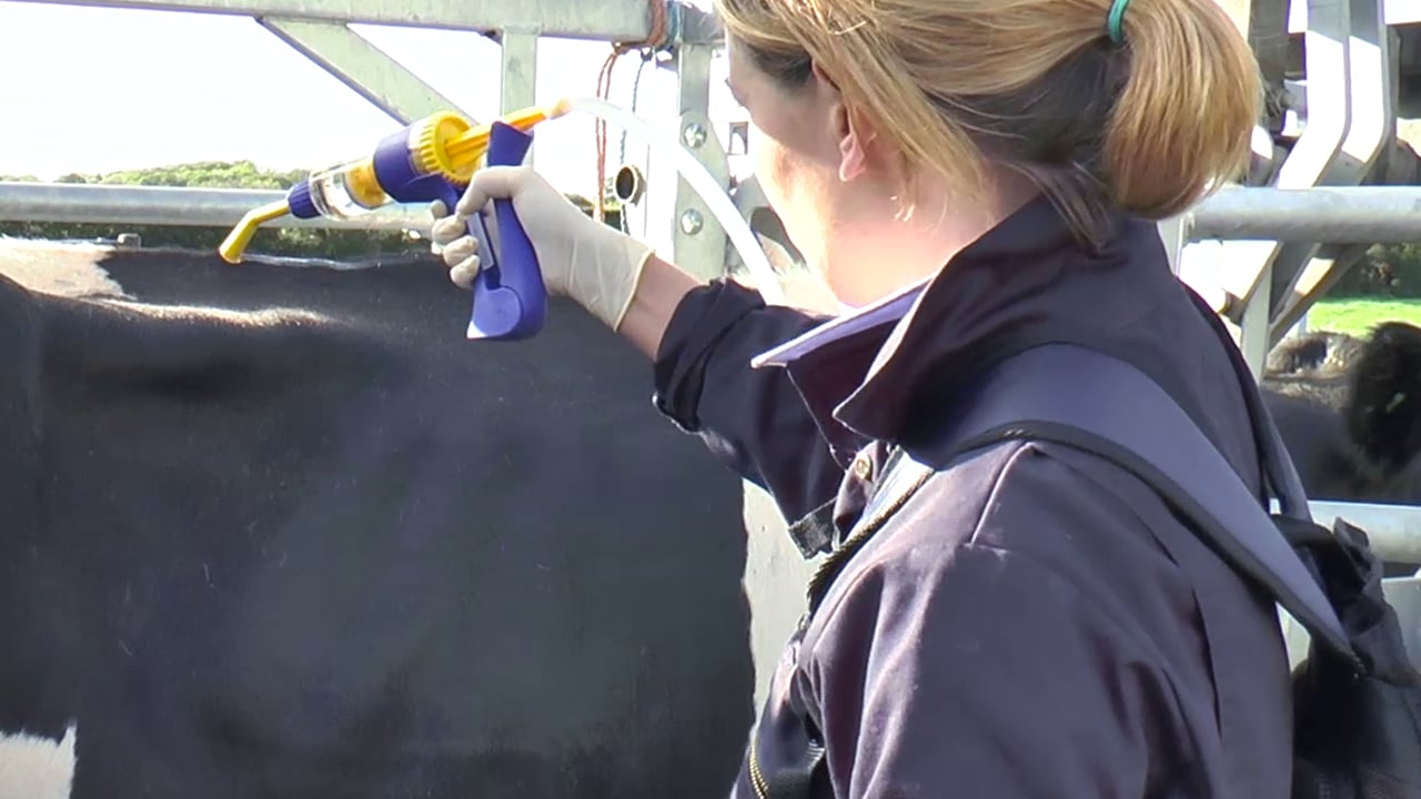 Agriland and Boehringer Ingelheim launch series on smarter parasite control