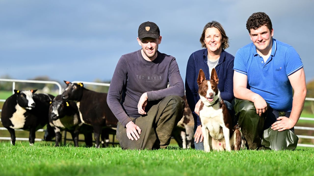 Allen Shortt, Samantha Allen and Bailey Smyth pictured with the sheep for the upcoming dispersal at Ballymena Mart. Image source: Alfie Shaw