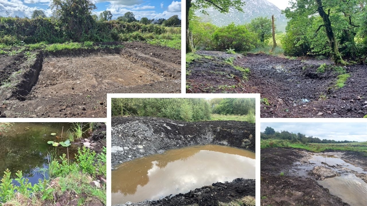These ponds are part of the 334 biodiversity actions being taken in Galway this year co-funded by Intact Insurance. Image source: Burrenbeo Trust