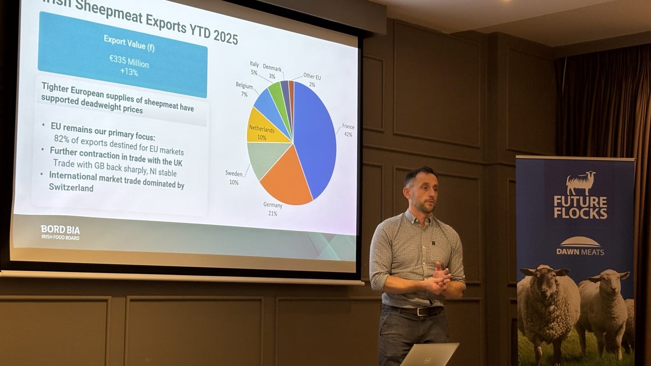 Bord Bia's sheep meat and livestock sector manager Seamus McMenamin speaking at the Dawn Meats Future Flocks event in Athlone, Co. Westmeath.
