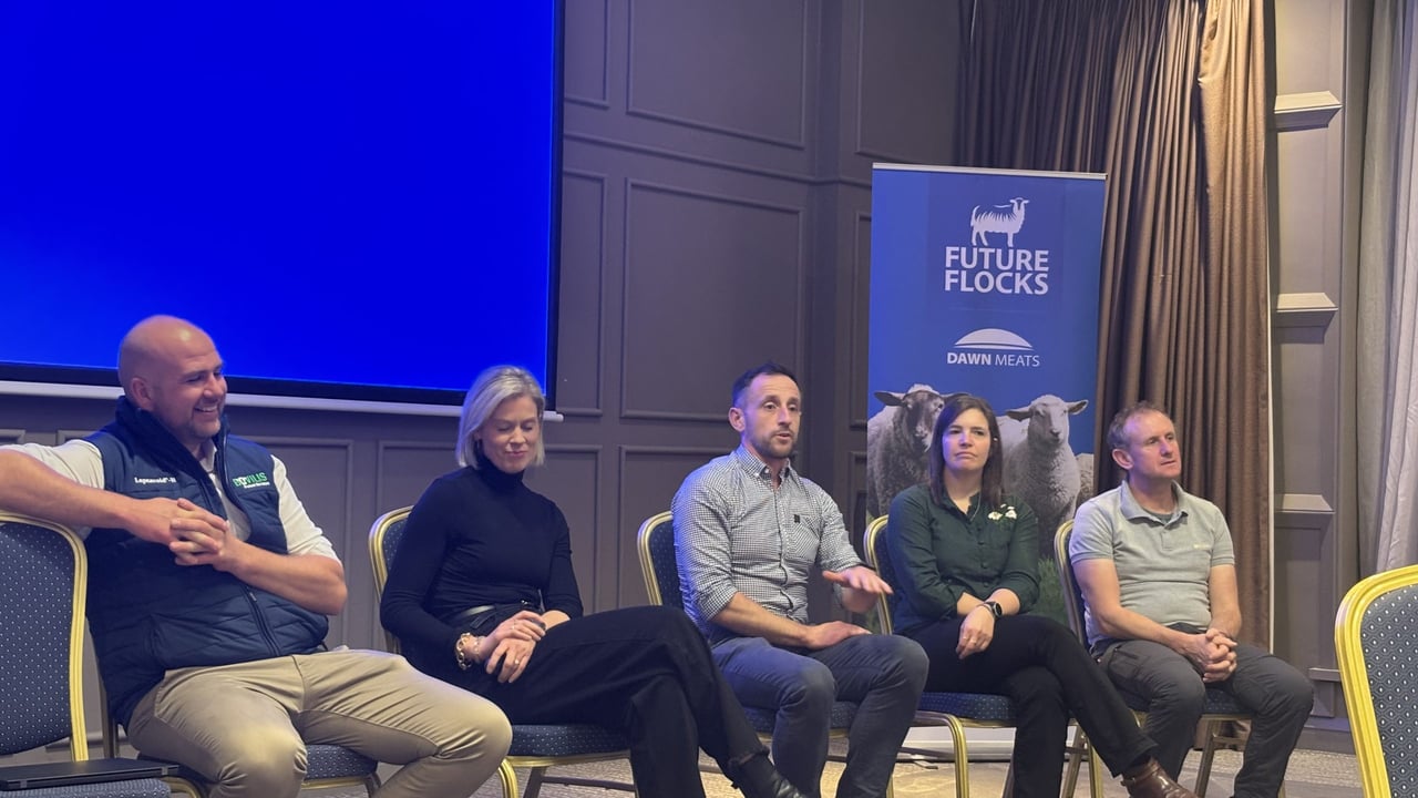 Positive soundings on lamb prices at Dawn Meats supplier event