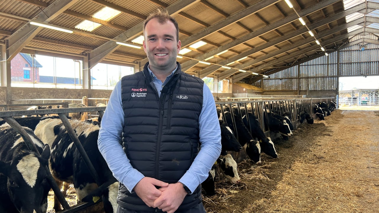 Top tips: How to apply pour-on wormers correctly