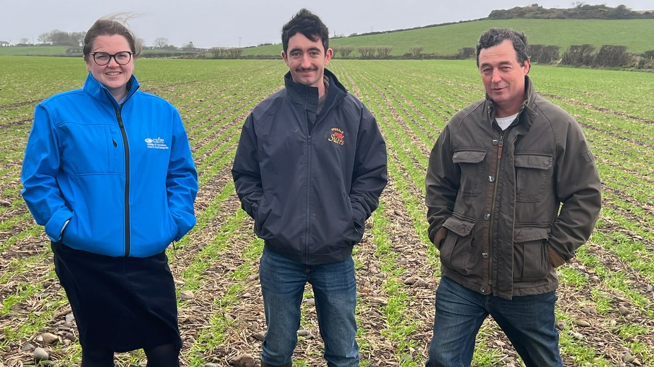 Mary Ann Alexander, CAFRE adviser with Joshua McClements and Andrew McClements pictured in a field of winter barley planted on shore gravel