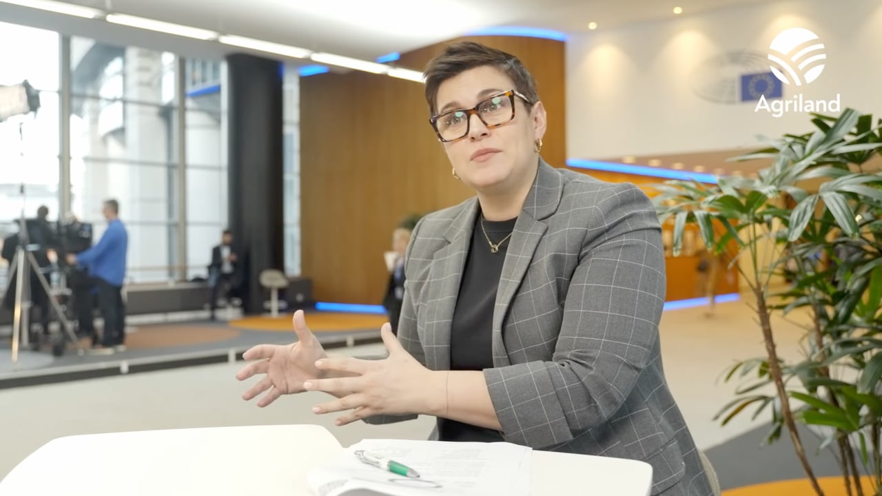 MEP Maria Walsh speaks to Agriland in Brussels about Nitrates Derogation