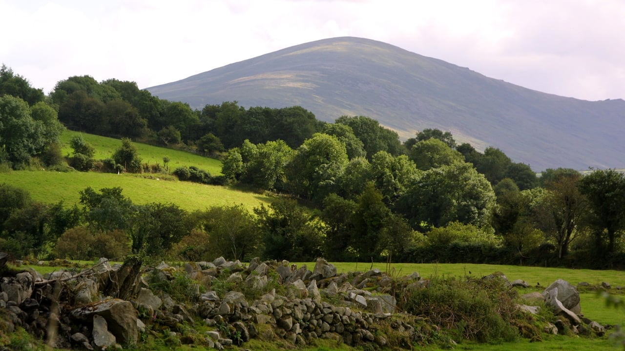 The Blackstairs mountains. Source: Carlow County Council