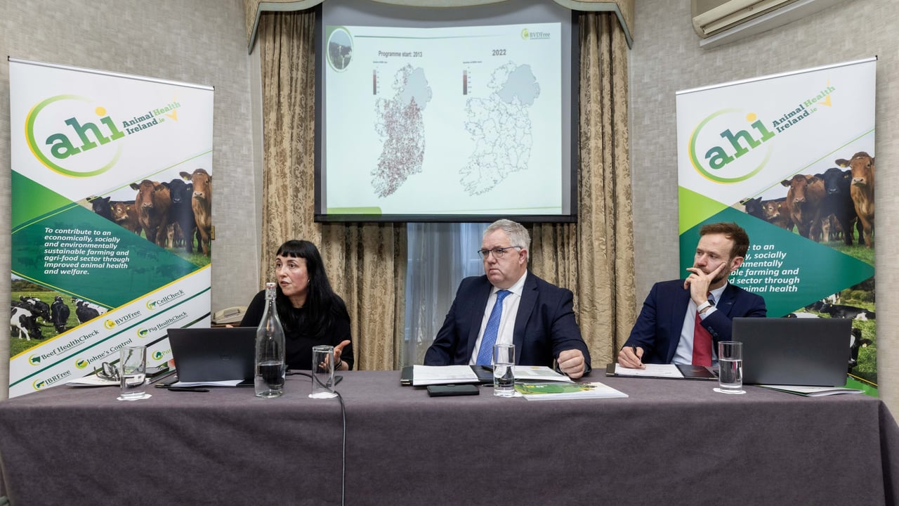 L-R: Dr Maria Guelbenzu, BVD programme manager AHI; James Lynch AHI Chairman and Patrick Donohoe, AHI CEO