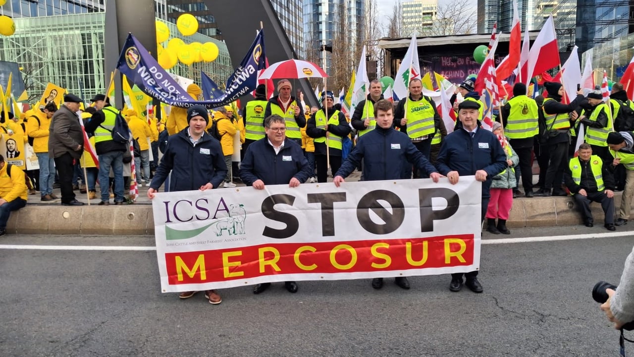  ICSA delegates join the mass demonstration in Brussels to oppose Mercosur and defend the CAP budget
