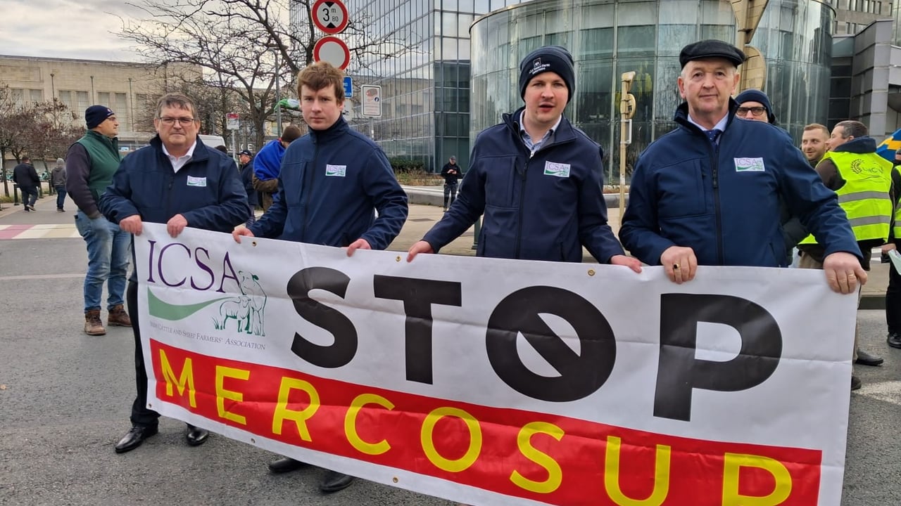 Broad welcome for government decision to reject Mercosur trade deal