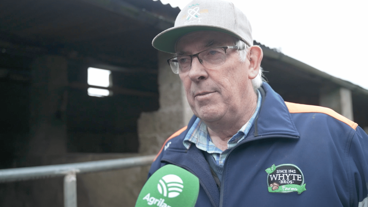 Looking back at 2025 and Christmas plans