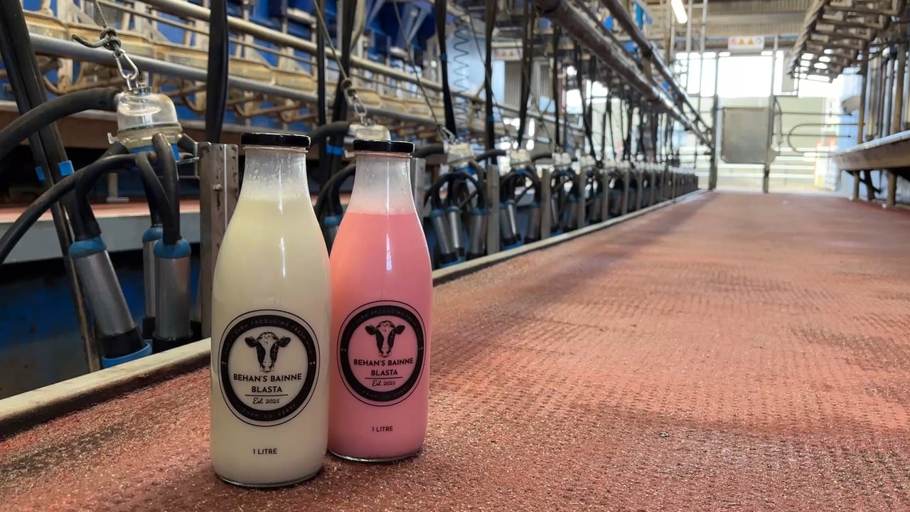 Kerry family supplying more than just the co-op