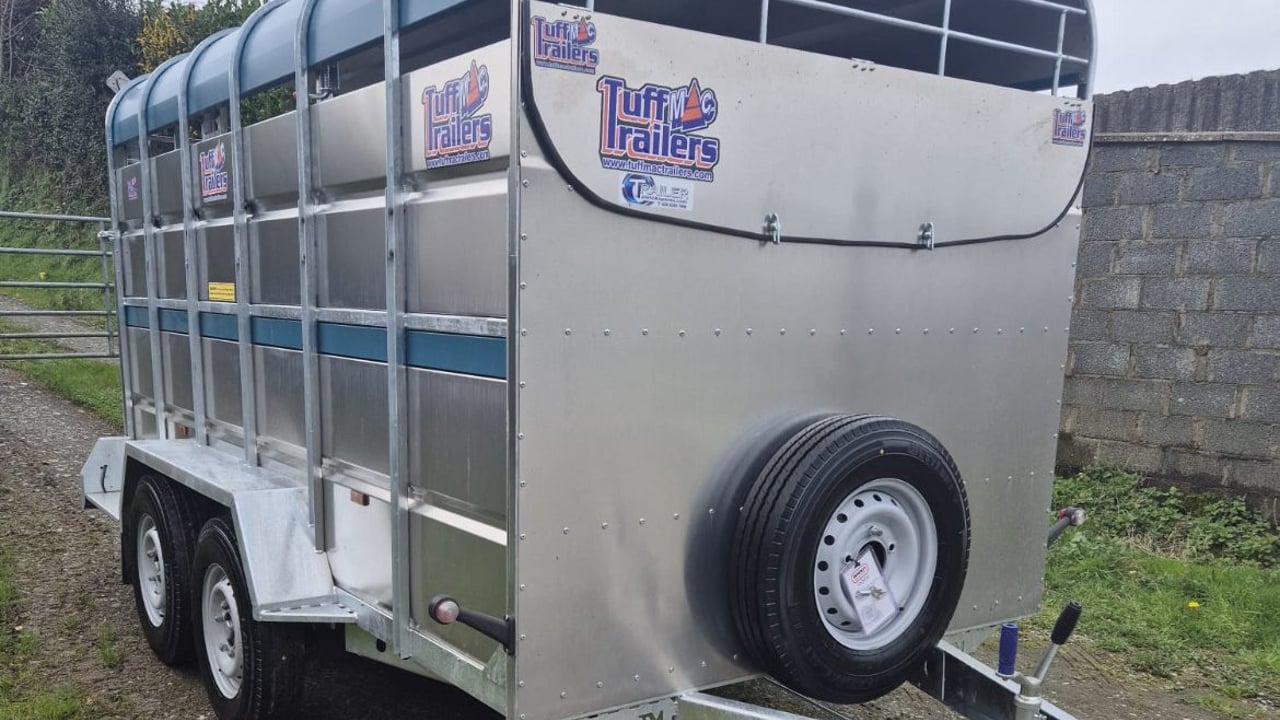 The stolen Tuff Mac (12X6) cattle trailer