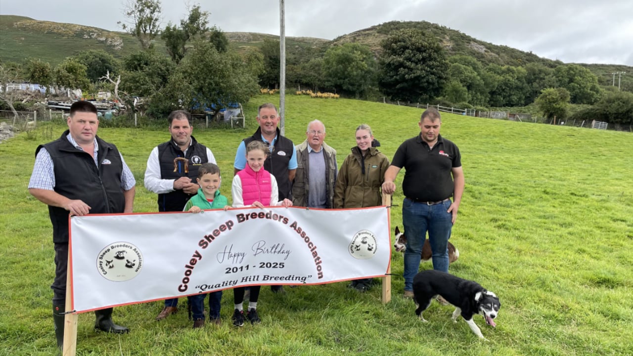 L-R: John Wehrly; Thomas Elmore; Tiernan Elmore; Aoife Rose Elmore; Gerry McEneaney; Jim McEneaney; Cayla Wehrly and Conor McEneaney - all members of the Cooley Sheep Breeders' Association