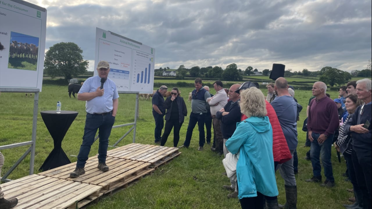 Tim Meagher explaining why he goes to the west of Ireland to buy cattle for his beef production system