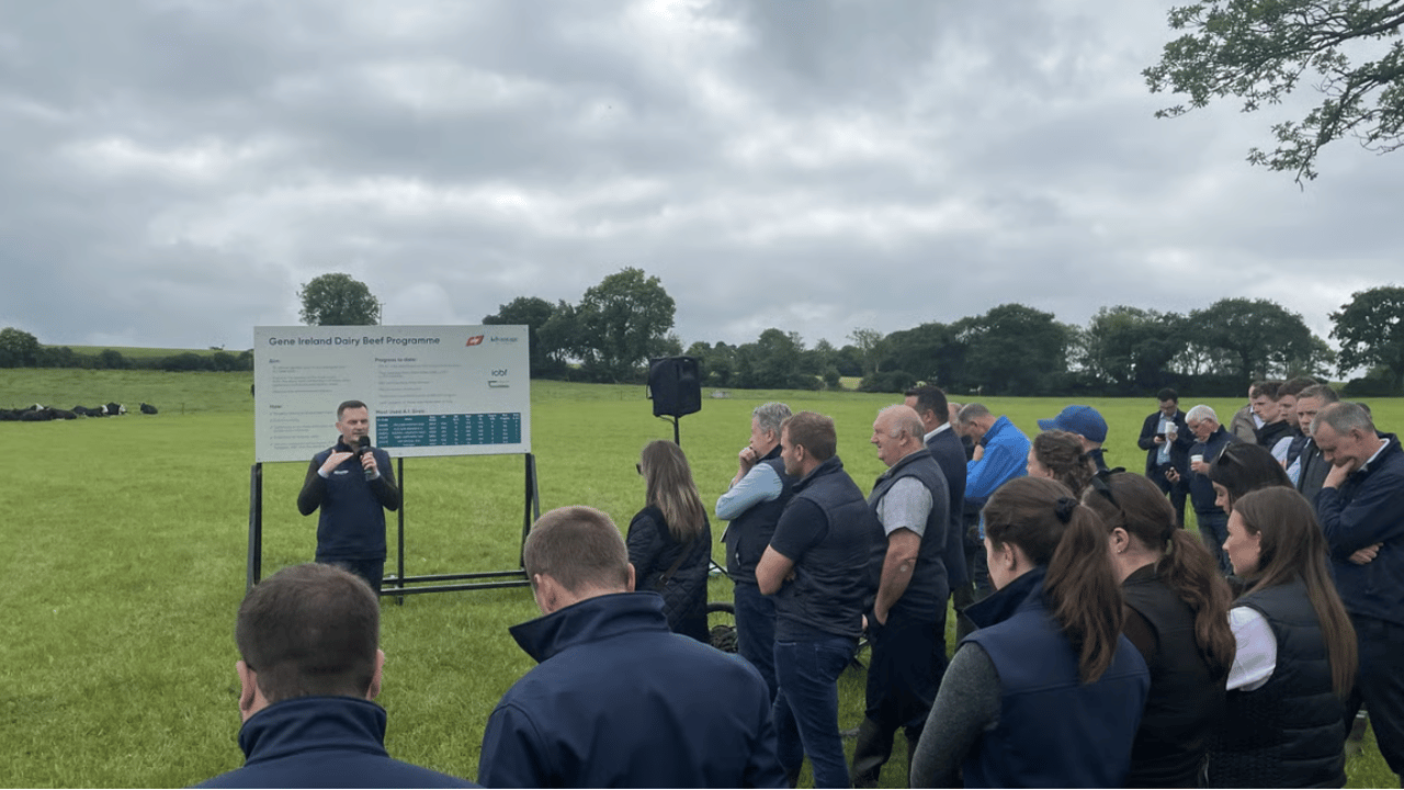 Year in review: ABP's Advantage Beef Programme 2025