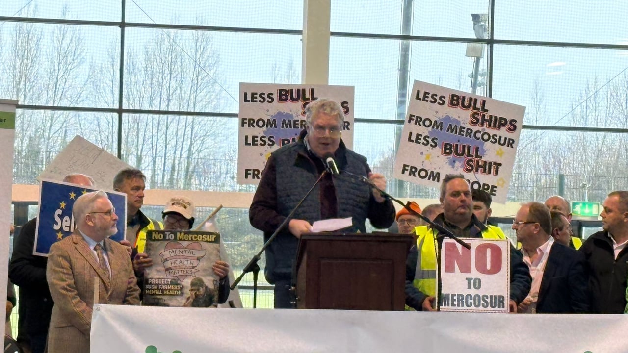 Ciaran Mullooly MEP speaking at the Independent Ireland anti-Mercosur deal protest in Athlone