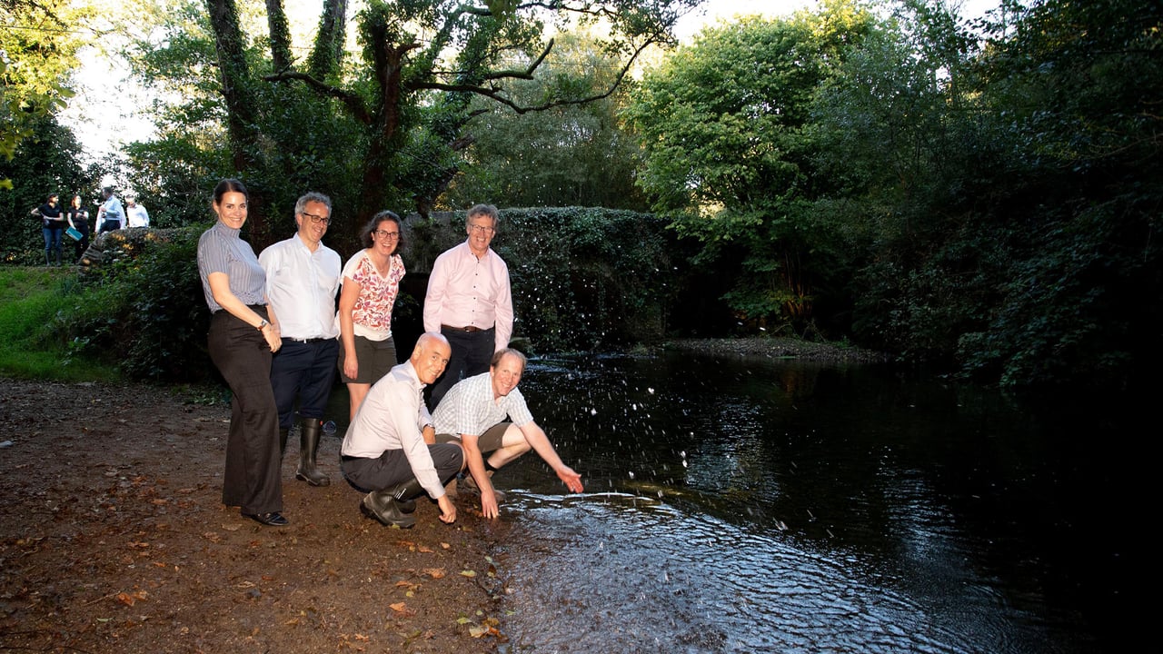 The EU’s Environment Directorate to Ireland viewing the Farming for Water project on Alan and Cheryl Poole's farm in Co. Wexford. Image: Mary Browne