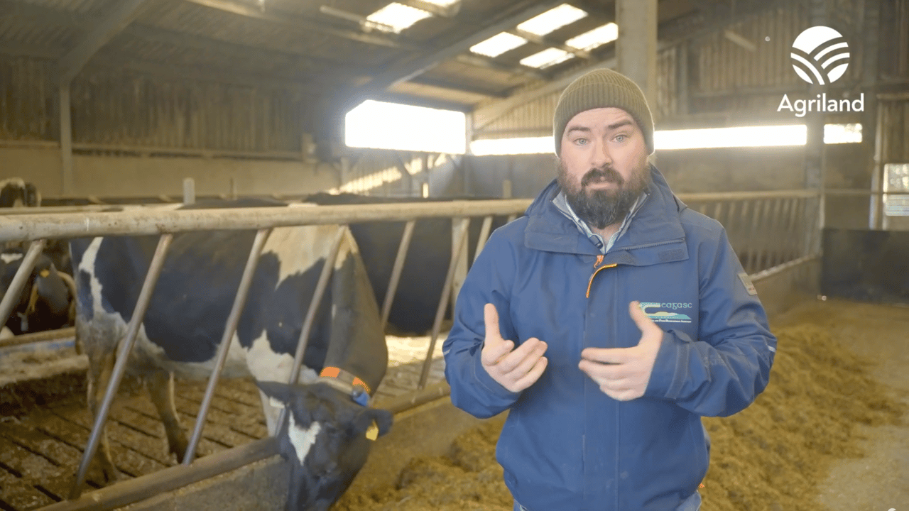 Top tips for the winter breeding season
