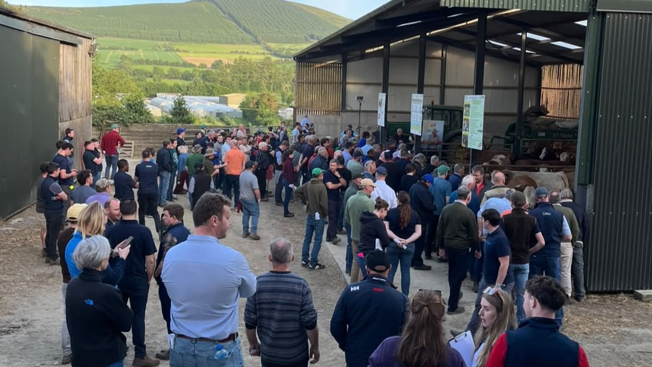 Wicklow suckler farm event focuses on production and profitability