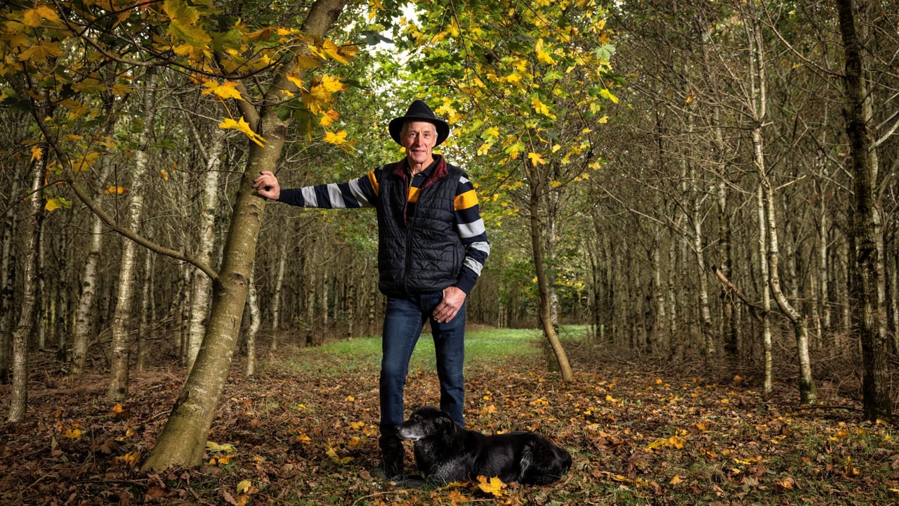 ‘Thinking of forestry, I’d definitely say go ahead’ - Westmeath beef farmer