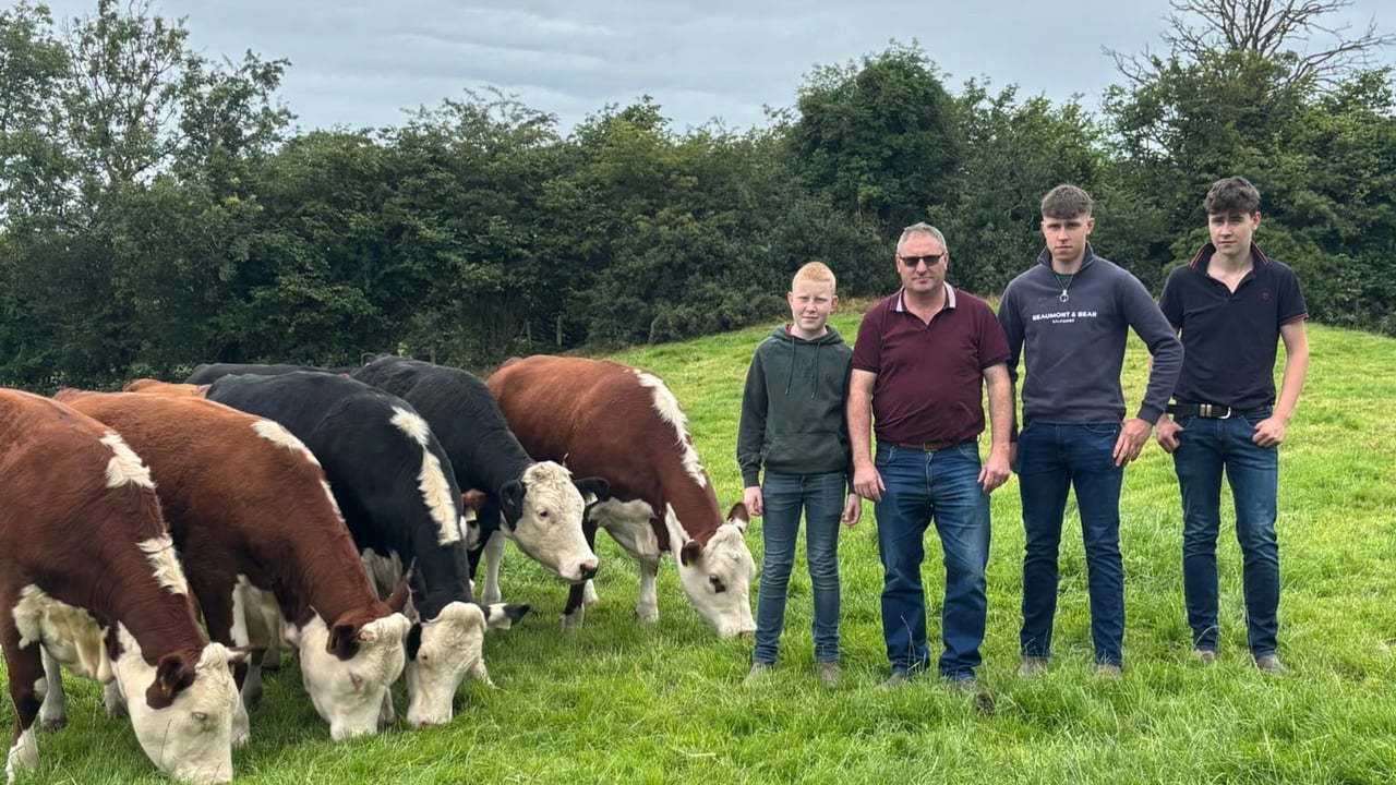ABP and Hereford Prime event set for Castleblayney suckler and dairy farm