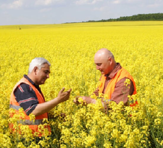 'Hands off farm transfer tax relief'