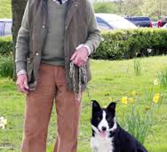 Sheepdog bob sells for world record sum